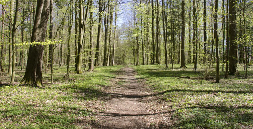 Offline gåture i Naturens Rige